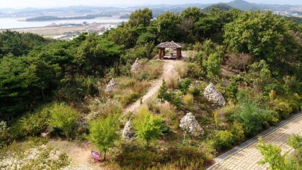 돌틈정원.jpg