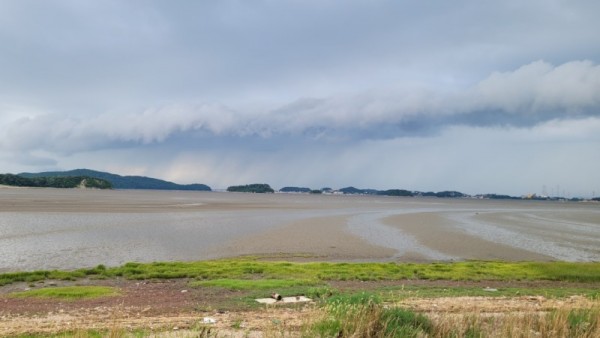 대부도+전경.jpeg